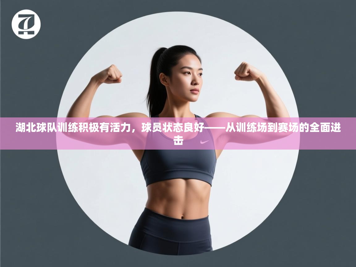 湖北球队训练积极有活力，球员状态良好——从训练场到赛场的全面进击  第2张